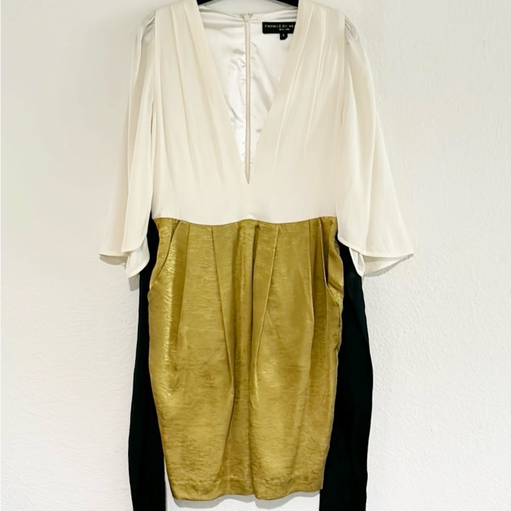 Twinkle By Wenlan Colorblock Silk Dress 2